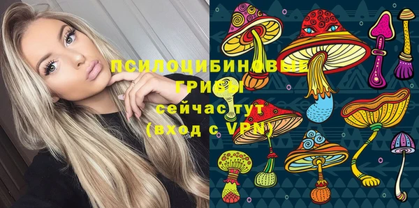гидра Киренск