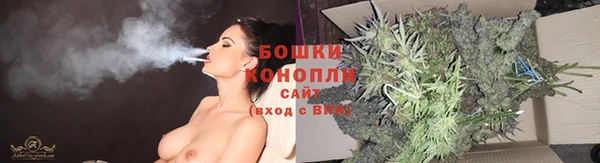 тгк Каменка