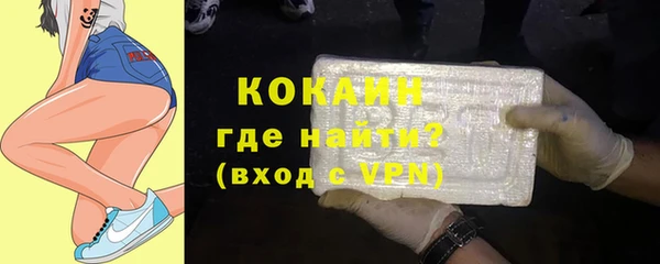 spice Инта