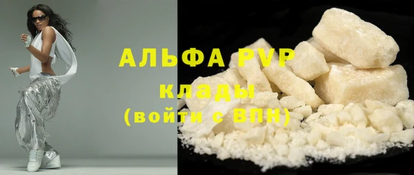 МДПВ Инсар