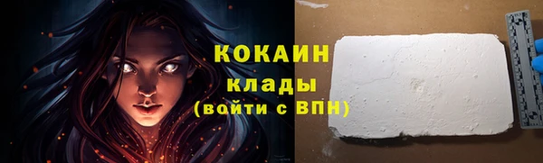 МДПВ Инсар