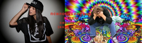 круглые Каменногорск