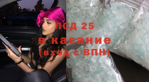 spice Инта