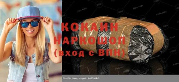 МДПВ Инсар