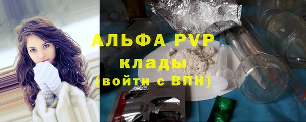 spice Инта