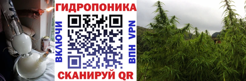Конопля гибрид  Купить где  Ковылкино 